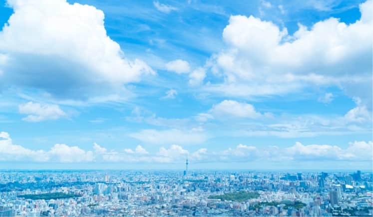 会社概要のリンク画像